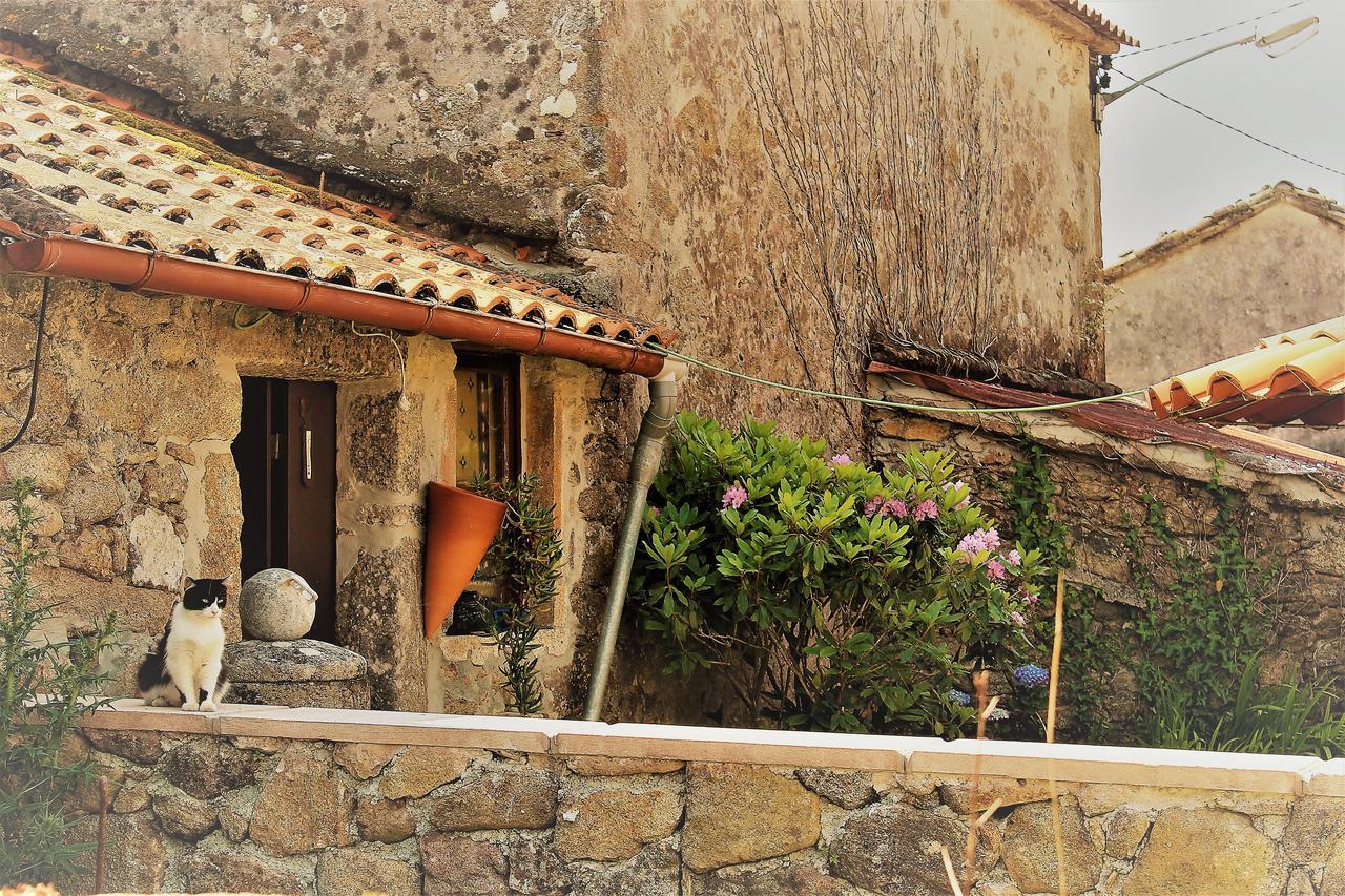 Casa Raul Lires Hotel Bagian luar foto
